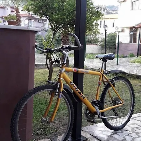 Erasmus 4* 달리안