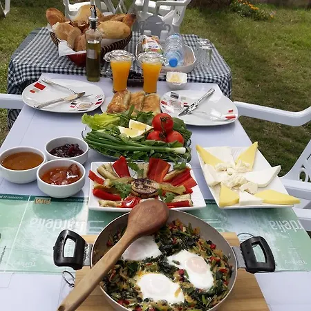 Erasmus شقة فندقية داليان