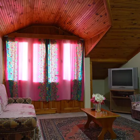 Erasmus 4* داليان