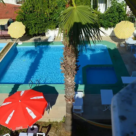 Erasmus 4* داليان