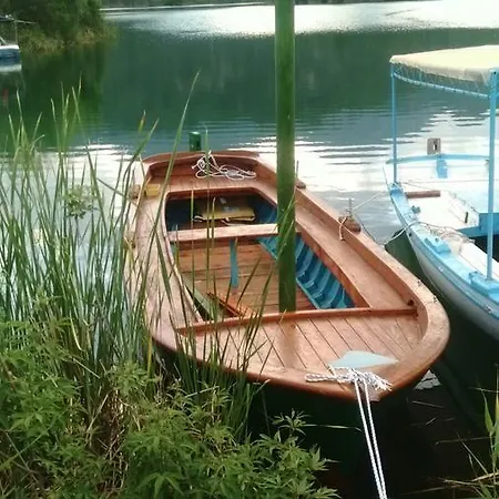 Erasmus داليان