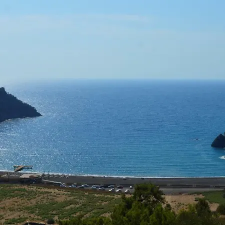 Erasmus 4* داليان