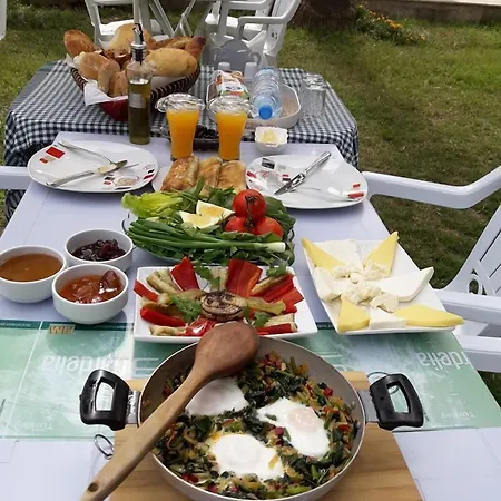 Erasmus Dalyan