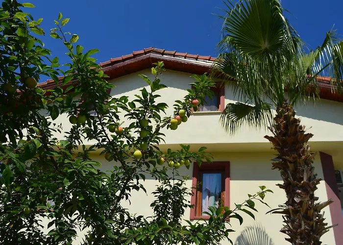 Erasmus Aparthotel 4*